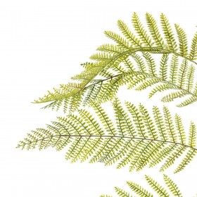 Ramo PVC Ferro 36 x 114 cm