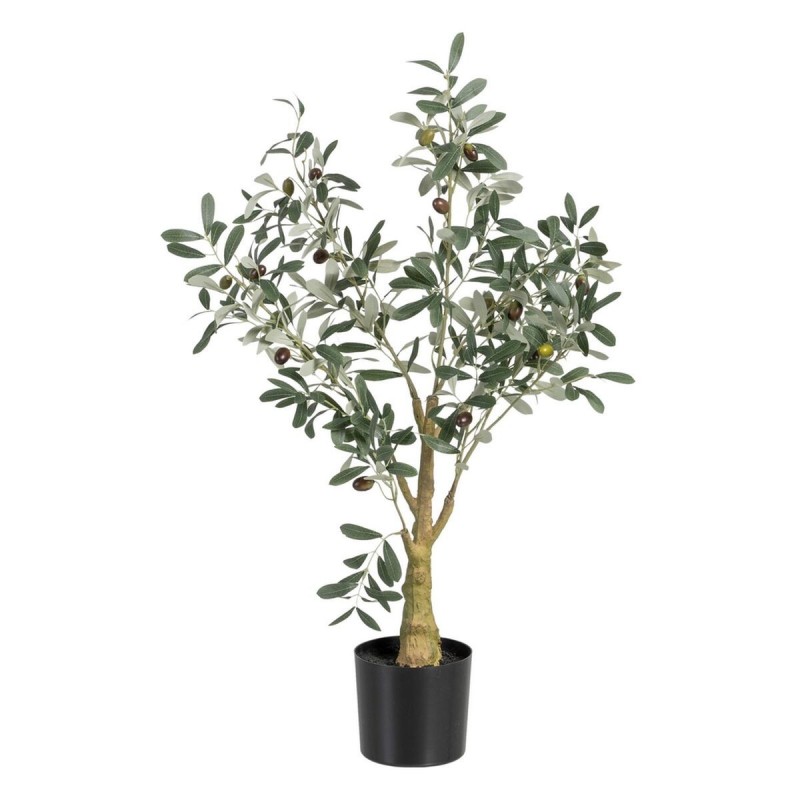 Pianta Decorativa Poliestere Polietilene Ulivo 56 x 48 x 78 cm