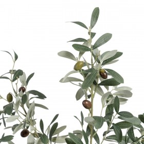 Pianta Decorativa Poliestere Polietilene Ulivo 56 x 48 x 78 cm