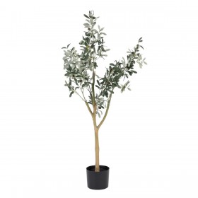 Pianta Decorativa Poliestere Polietilene Ulivo 55 x 60 x 112 cm
