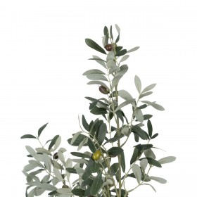 Pianta Decorativa Poliestere Polietilene Ulivo 55 x 60 x 112 cm