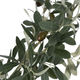 Pianta Decorativa Poliestere Polietilene Ulivo 55 x 60 x 112 cm