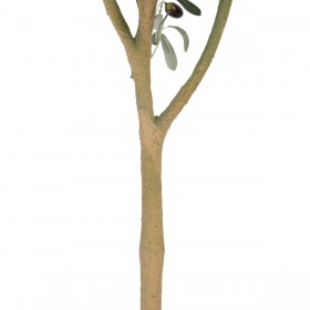 Pianta Decorativa Poliestere Polietilene Ulivo 55 x 60 x 112 cm