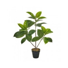Pianta Decorativa Polietilene Plastica Ficus 40 x 40 x 75 cm