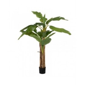 Pianta Decorativa Gomma Banano 70 x 70 x 200 cm