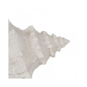 Lampada da tavolo Bianco Resina Pietra Sabbia 18 x 11,8 x 11 cm