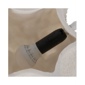 Lampada da tavolo Bianco