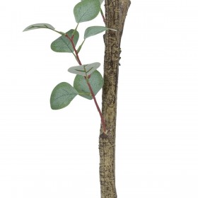Pianta Decorativa Polietilene Eucalipto 80 x 82 x 180 cm