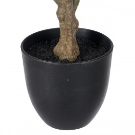 Pianta Decorativa Polietilene Ferro PEVA Rovere 76 cm