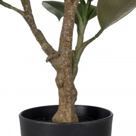 Pianta Decorativa Polietilene Ferro PEVA Rovere 76 cm
