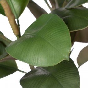 Pianta Decorativa Polietilene Ferro PEVA Rovere 76 cm