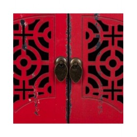 Cassettiera multiuso Alexandra House Living Rosso Legno di abete Legno MDF 40 x 50 x 120 cm