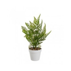Pianta Decorativa Polietilene Plastica Felce 26 x 26 x 45 cm