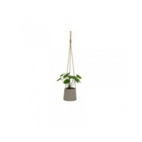 Pianta Decorativa Polietilene Cemento 23 x 19 x 24 cm