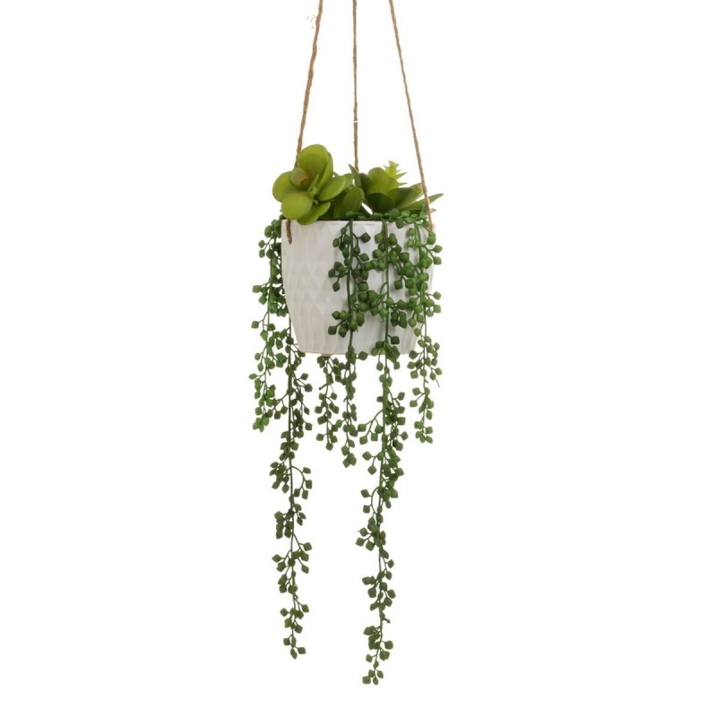 Pianta Decorativa Ceramica Polietilene 14 x 14 x 40 cm