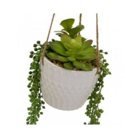 Pianta Decorativa Ceramica Polietilene 14 x 14 x 40 cm
