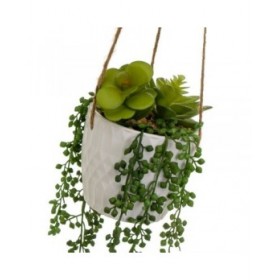 Pianta Decorativa Ceramica Polietilene 14 x 14 x 40 cm