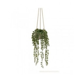 Pianta Decorativa Polietilene Cemento 18 x 18 x 46 cm