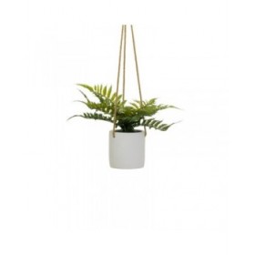 Pianta Decorativa Polietilene Cemento 30 x 30 x 24 cm
