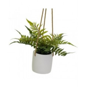 Pianta Decorativa Polietilene Cemento 30 x 30 x 24 cm