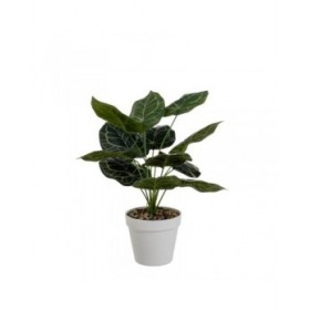 Pianta Decorativa Polietilene Plastica 26 x 26 x 43 cm