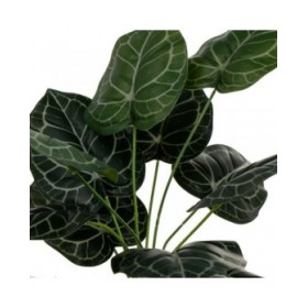 Pianta Decorativa Polietilene Plastica 26 x 26 x 43 cm