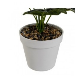 Pianta Decorativa Polietilene Plastica 26 x 26 x 43 cm