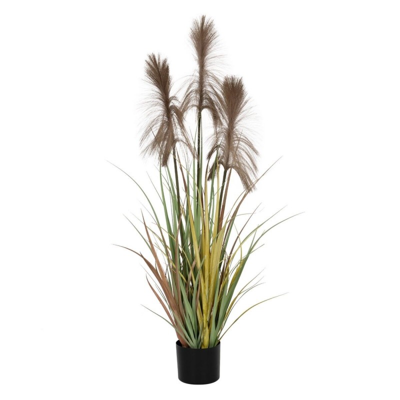 Pianta Decorativa PVC Cemento Tessuto 120 cm 14 x 14 x 12,5 cm