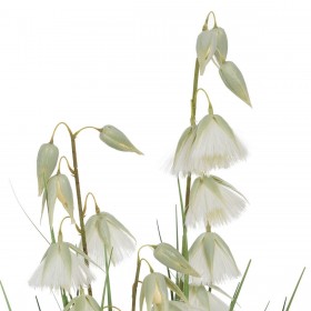 Pianta Decorativa PVC Cemento Tessuto 91 cm