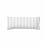 Pianta Decorativa PVC Acciaio Cemento 152 cm 15,5 x 15,5 x 15,5 cm