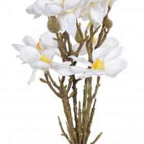 Mazzo Bianco Verde 37 x 20 x 41 cm Magnolia
