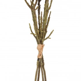 Mazzo Bianco Verde 37 x 20 x 41 cm Magnolia
