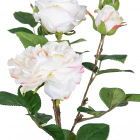 Pianta Decorativa Poliestere Polietilene Ferro Rosa 27 x 27 x 38 cm