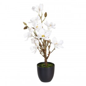 Pianta Decorativa Poliestere Polietilene Ferro 30 x 30 x 60 cm Magnolia