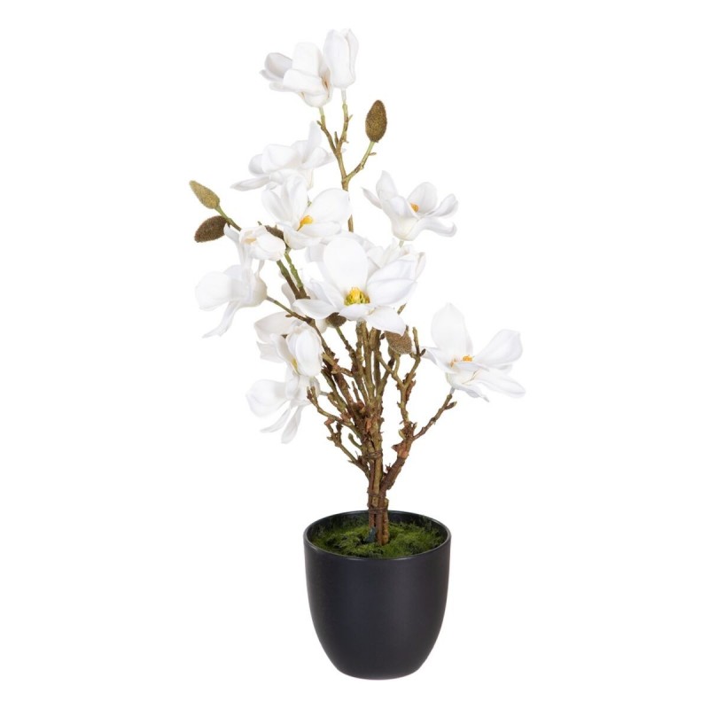 Pianta Decorativa Poliestere Polietilene Ferro 30 x 30 x 60 cm Magnolia