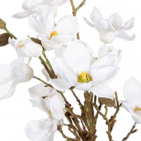 Pianta Decorativa Poliestere Polietilene Ferro 30 x 30 x 60 cm Magnolia