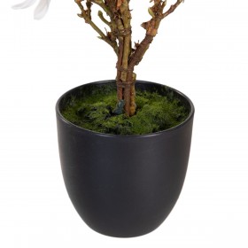 Pianta Decorativa Poliestere Polietilene Ferro 30 x 30 x 60 cm Magnolia