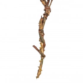 Fiore Decorativo Verde Rosa 30 x 10 x 91 cm