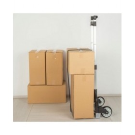 Carrello Multiuso Aktive 40 x 100 x 40 cm (2 Unità)