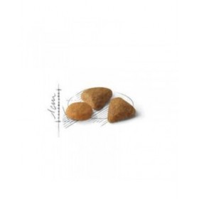 Cibo per gatti Royal Canin Feline Savour Exigent 4kg Adulto 4 Kg