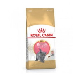 Cibo per gatti Royal Canin British Shorthair Kitten Pollo Riso Vegetale Uccelli 2 Kg