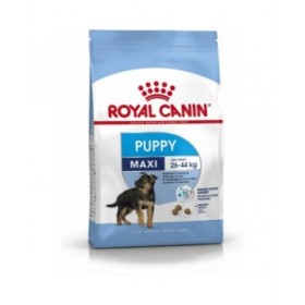 mangime Royal Canin Maxi Puppy Cucciolo/Junior Pollo Riso Uccelli 4 Kg