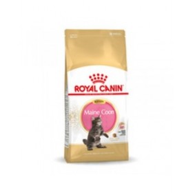 Cibo per gatti Royal Canin Maine Coon Kitten 10 kg