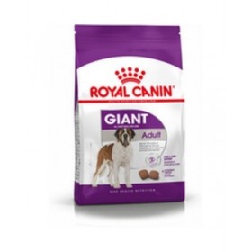mangime Royal Canin Giant Adult Adulto Pollo Uccelli 15 kg
