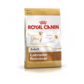 mangime Royal Canin Labrador Retriever Adult Adulto Pollo Riso Uccelli 12 kg