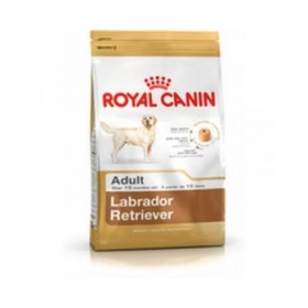 mangime Royal Canin Labrador Retriever Adult Adulto Pollo Riso Uccelli 12 kg