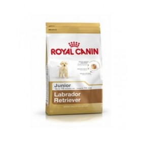 mangime Royal Canin Labrador Retriever Junior Cucciolo/Junior Pollo Riso Mais Uccelli 12 kg