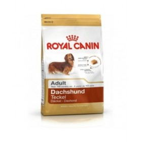 mangime Royal Canin Dachshund Adult Adulto Pollo Riso Uccelli 1,5 Kg