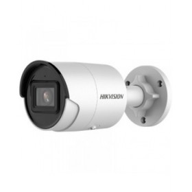 Videocamera di Sorveglianza Hikvision DS-2CD2043G2-I