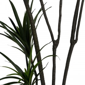 Pianta Decorativa Gomma polipropilene 90 X 90 X 220 CM
